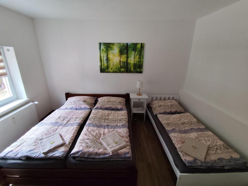 Apartman Terezka Jilove Екстер'єр фото