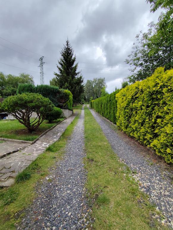 Apartman Terezka Jilove Екстер'єр фото